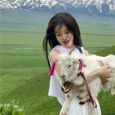《血战那维克》海报
