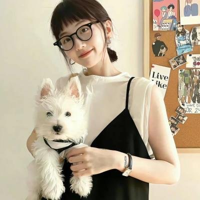《丢羊》海报